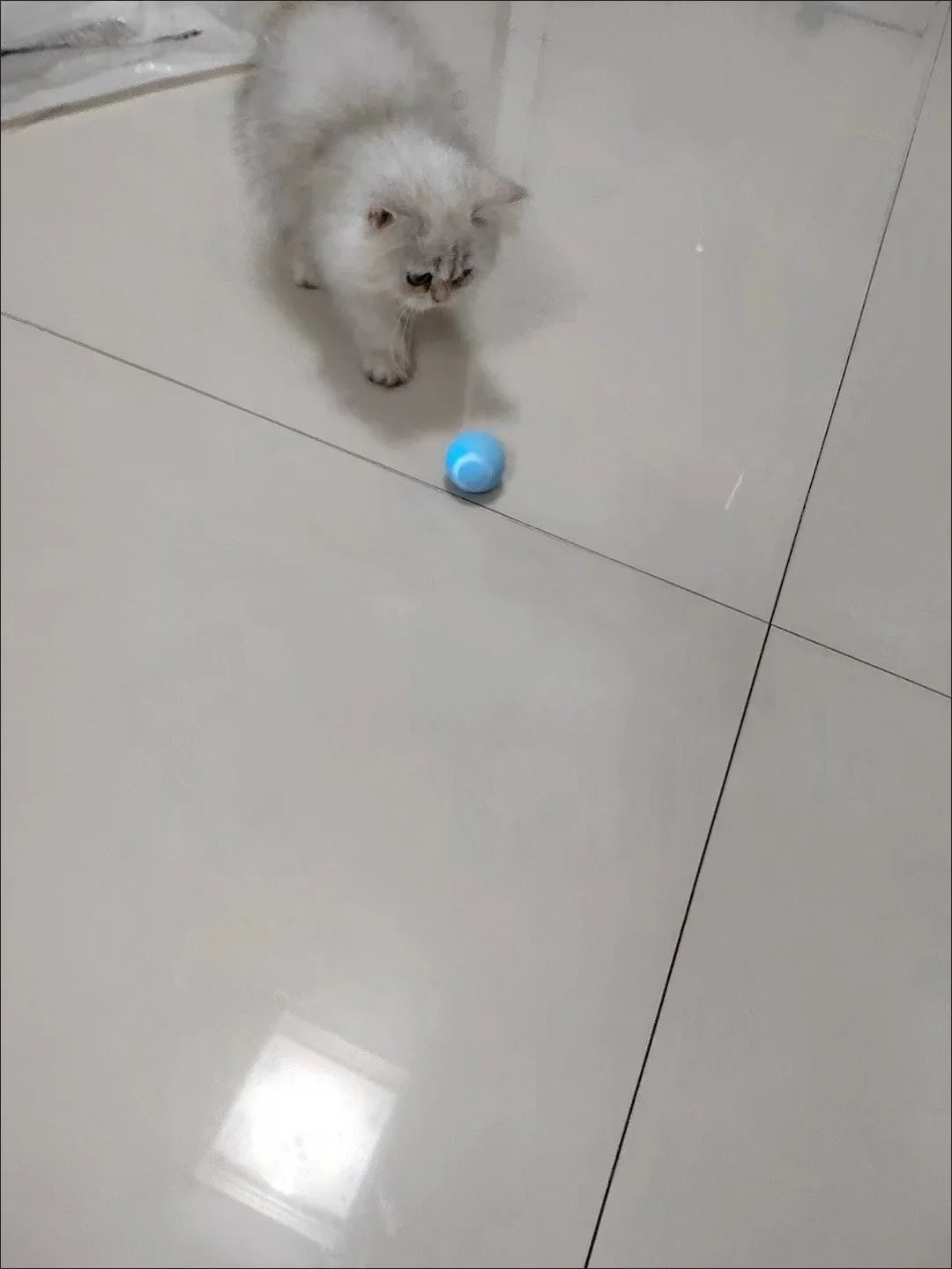 Cat Interactive Ball Smart Pet Cat Toys Indoor Automatic Rolling Magic Ball Electronic Interactive Cat Toy Cat Game Accessories